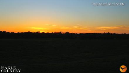 Southwest Florida River Wildlife Live Cams - Jun 23, 2026, 8:25pm EDT
