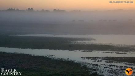 Southwest Florida River Wildlife Live Cams - Feb 17, 2026, 7:14am EST