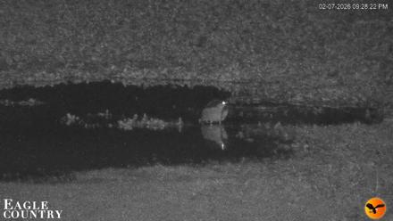 Southwest Florida River Wildlife Live Cams - Feb 7, 2026, 9:29pm EST