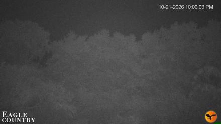 Southwest Florida River Wildlife Live Cams - Oct 21, 2026, 10:01pm EDT