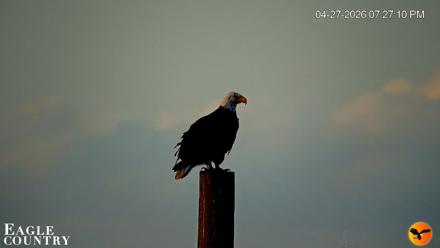 Southwest Florida River Wildlife Live Cams - Apr 27, 2026, 10:40pm EDT