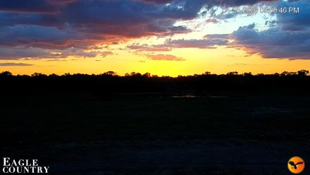 Southwest Florida River Wildlife Live Cams - Apr 28, 2026, 8:38pm EDT