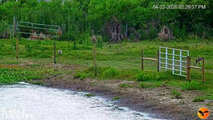 Southwest Florida River Wildlife Live Cams - Apr 22, 2026, 2:30pm EDT