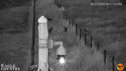 Southwest Florida River Wildlife Live Cams - Aug 27, 2026, 8:34pm EDT