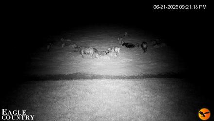 Southwest Florida River Wildlife Live Cams - Jun 21, 2026, 9:22pm EDT
