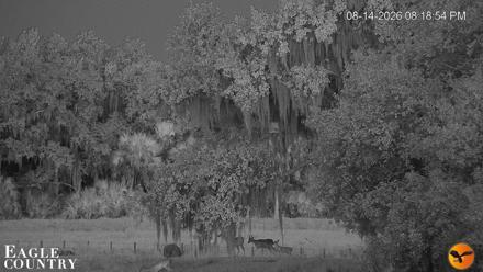 Southwest Florida River Wildlife Live Cams - Aug 14, 2026, 9:20pm EDT