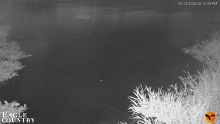 Southwest Florida River Wildlife Live Cams - Sep 19, 2026, 8:11pm EDT