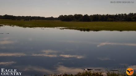 Southwest Florida River Wildlife Live Cams - Sep 27, 2026, 9:34am EDT