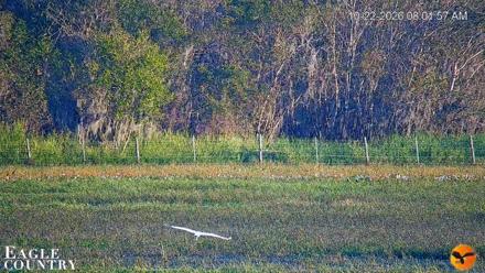 Southwest Florida River Wildlife Live Cams - Oct 22, 2026, 8:02am EDT