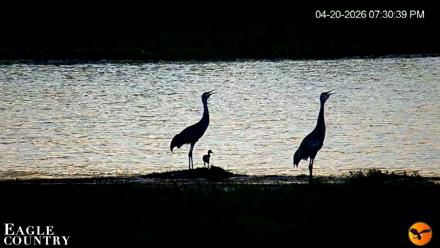 Southwest Florida River Wildlife Live Cams - Apr 20, 2026, 7:36pm EDT