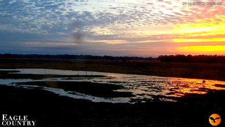 Southwest Florida River Wildlife Live Cams - Jan 14, 2026, 7:09am EST