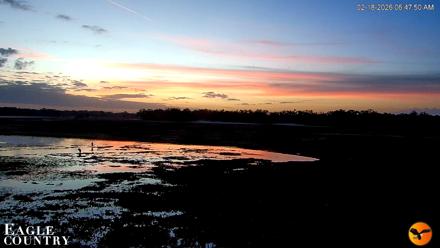 Southwest Florida River Wildlife Live Cams - Feb 18, 2026, 6:49am EST