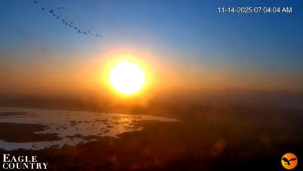 Southwest Florida River Wildlife Live Cams - Nov 14, 2025, 7:09am EST