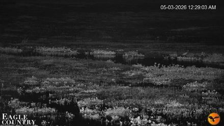 Southwest Florida River Wildlife Live Cams - May 3, 2026, 12:30am EDT