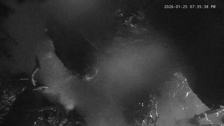 Blackwater Wildlife Refuge Raptor Nest Live Cam - Jan 25, 2026, 7:36pm EST