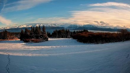 Homer Alaska Northern Lights Live Cam - Nov 25, 2025, 2:07pm AKST