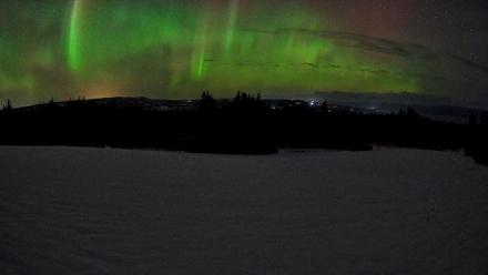 Homer Alaska Northern Lights Live Cam - Feb 16, 2026, 1:33am AKST