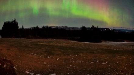 Homer Alaska Northern Lights Live Cam - Dec 12, 2025, 7:36am AKST