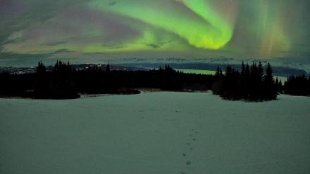 Homer Alaska Northern Lights Live Cam - Jan 20, 2026, 10:08pm AKST