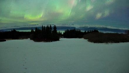 Homer Alaska Northern Lights Live Cam - Jan 20, 2026, 11:04pm AKST