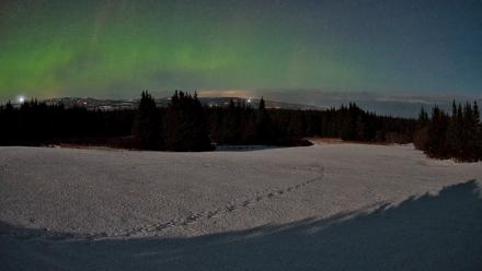 Homer Alaska Northern Lights Live Cam - Feb 24, 2026, 1:16am AKST