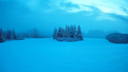 Homer Alaska Northern Lights Live Cam - Feb 12, 2026, 8:37am AKST