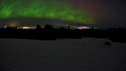 Homer Alaska Northern Lights Live Cam - Feb 19, 2026, 3:38am AKST