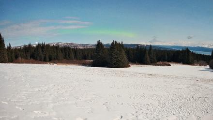 Homer Alaska Northern Lights Live Cam - Mar 29, 2026, 10:33pm AKDT
