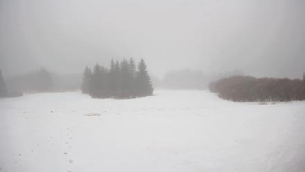 Homer Alaska Northern Lights Live Cam - Jan 26, 2026, 2:40pm AKST