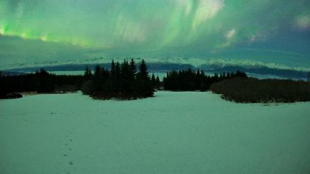 Homer Alaska Northern Lights Live Cam - Jan 20, 2026, 11:03pm AKST