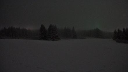 Homer Alaska Northern Lights Live Cam - Jan 11, 2026, 9:14am AKST