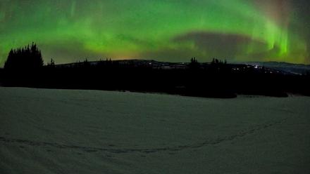 Homer Alaska Northern Lights Live Cam - Feb 22, 2026, 5:27am AKST