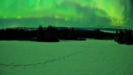 Homer Alaska Northern Lights Live Cam - Feb 22, 2026, 1:57am AKST