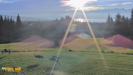 Homer Alaska Northern Lights Live Cam - Sep 3, 2026, 7:44am AKDT