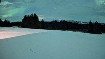 Homer Alaska Northern Lights Live Cam - Jan 20, 2026, 1:18am AKST