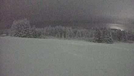 Homer Alaska Northern Lights Live Cam - Jan 12, 2026, 11:42pm AKST