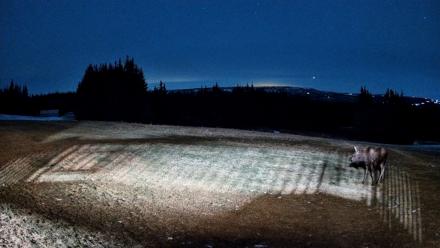 Homer Alaska Northern Lights Live Cam - Dec 25, 2025, 7:22pm AKST