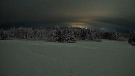 Homer Alaska Northern Lights Live Cam - Jan 12, 2026, 11:43pm AKST