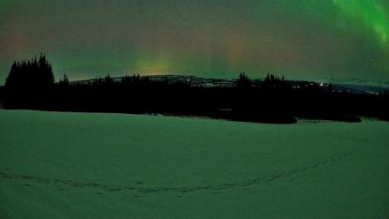 Homer Alaska Northern Lights Live Cam - Feb 22, 2026, 1:51am AKST