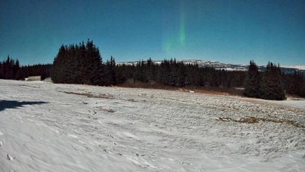 Homer Alaska Northern Lights Live Cam - Jan 3, 2026, 3:40am AKST