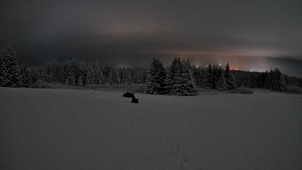 Homer Alaska Northern Lights Live Cam - Jan 14, 2026, 12:38am AKST