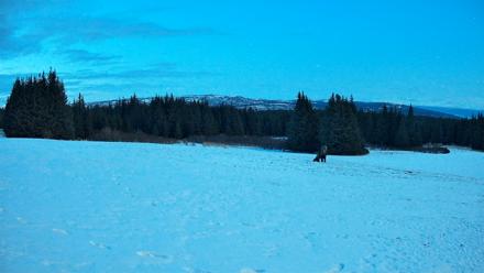Homer Alaska Northern Lights Live Cam - Mar 29, 2026, 9:48pm AKDT