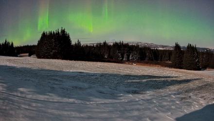 Homer Alaska Northern Lights Live Cam - Dec 29, 2025, 12:41am AKST