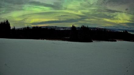 Homer Alaska Northern Lights Live Cam - Jan 21, 2026, 2:31am AKST