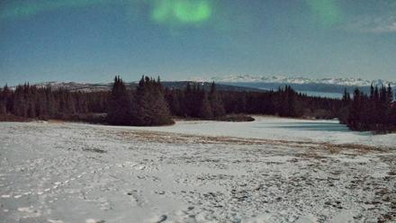Homer Alaska Northern Lights Live Cam - Apr 2, 2026, 1:20am AKDT