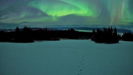 Homer Alaska Northern Lights Live Cam - Jan 20, 2026, 11:14pm AKST