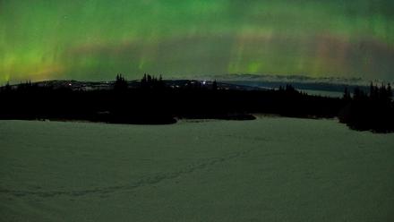 Homer Alaska Northern Lights Live Cam - Feb 22, 2026, 12:19am AKST