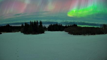 Homer Alaska Northern Lights Live Cam - Jan 20, 2026, 3:22am AKST