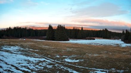 Homer Alaska Northern Lights Live Cam - Feb 8, 2026, 5:25pm AKST