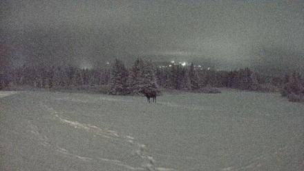 Homer Alaska Northern Lights Live Cam - Jan 12, 2026, 10:28pm AKST